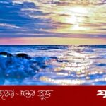 বিশ্বকাপে ডোনাল্ড ট্রাম্পের অনুপস্থিতি: ফাইনালের আগে কি দেখা যাবে?